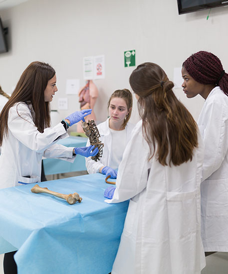 Facultad de Ciencias de la Salud Investigacion UFV CC SALUD Facultad de Ciencias de la Salud Estudiar en Universidad Privada Madrid
