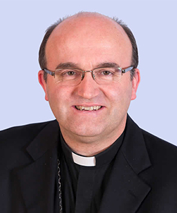 Afectividad y Sexualidad para el Siglo XXI Mons Jose Ignacio Munilla Afectividad y Sexualidad para el Siglo XXI Estudiar en Universidad Privada Madrid